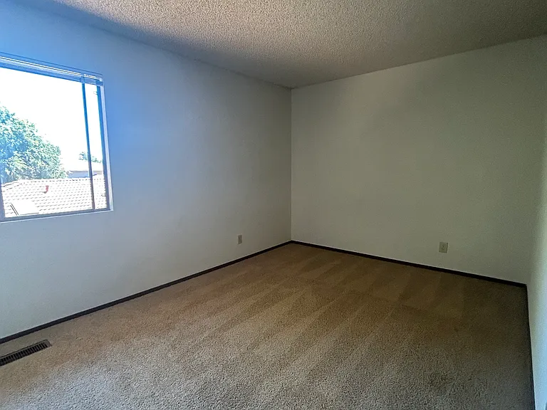 136 Peach Ter — Photo 5