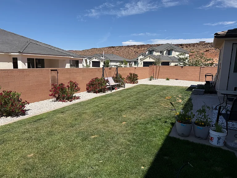 Landscaped back yard