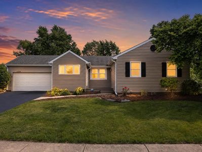 1328 Creighton Ave, Naperville, IL, 60565