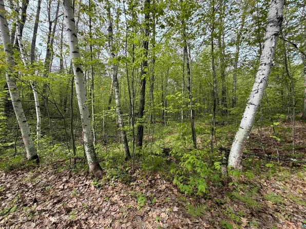 LOT 3 S Peterson Rd, Minong, WI 54859