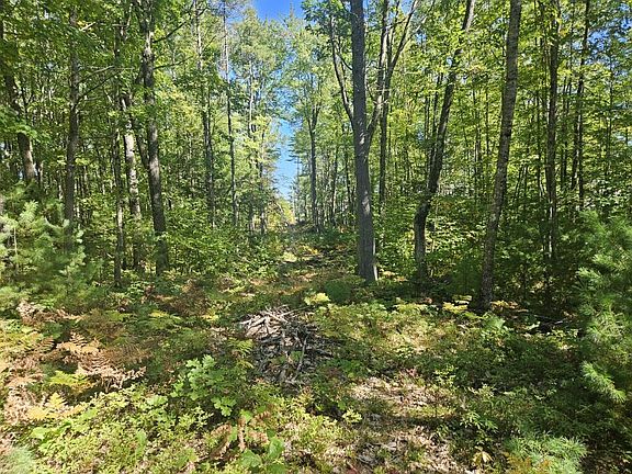 5th image of 9G Pequawket Trail