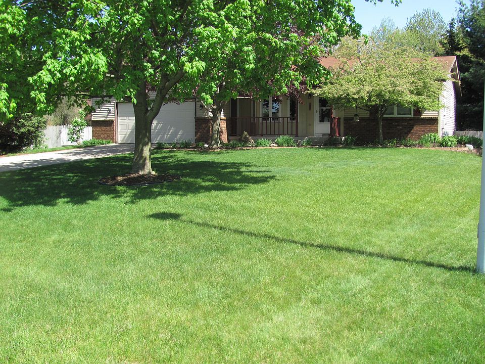 Large Front yard