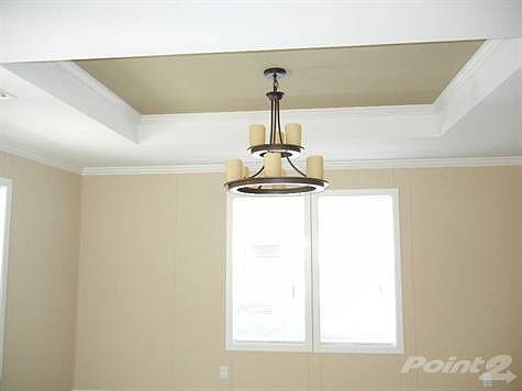 BEAUTIFUL TRY CEILINGS