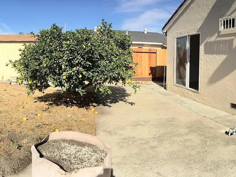 1125 Moonlight Way — Photo 21