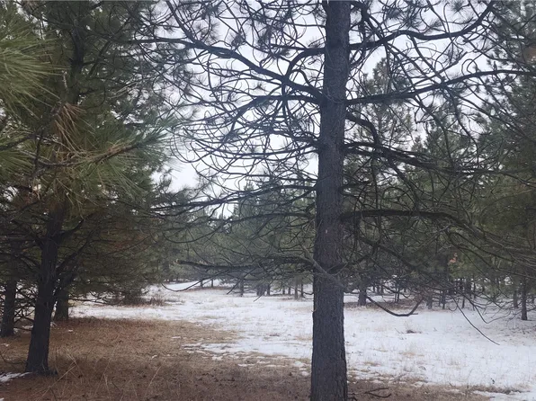 111 TBD Frosty Creek, Tonasket, WA 98855
