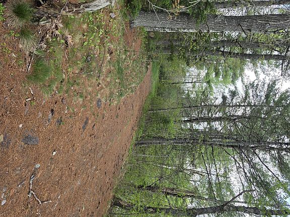 5th image of 1452 Ridge Road
