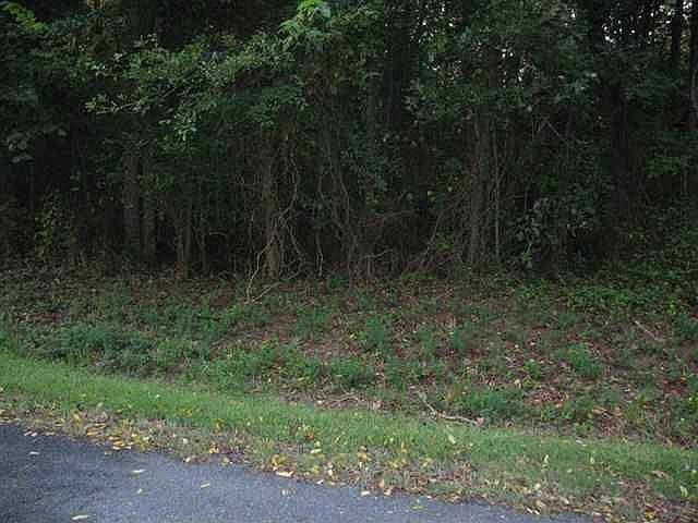 2nd image of 25 River Ln