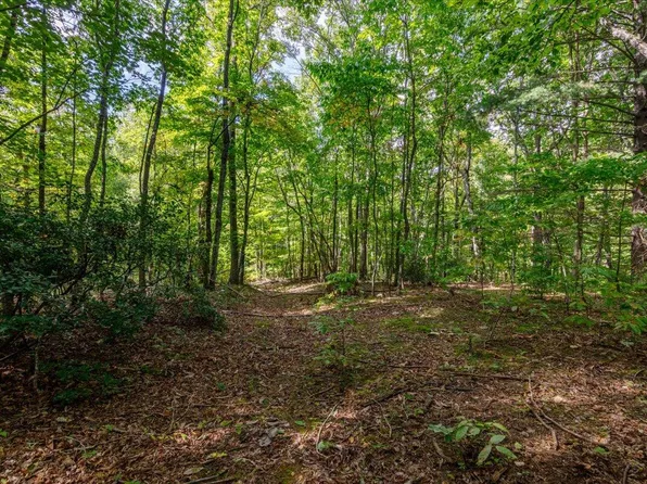 TRACT Gatewood Ln #B, Ferrum, VA 24088