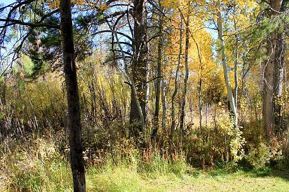 3414 Bearberry 4455 Berry Dr — Photo 11