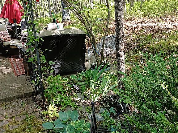 2nd image of 104 Winding Brook Dr