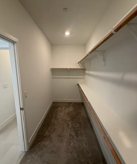 3217 Shrute Dr — Photo 80