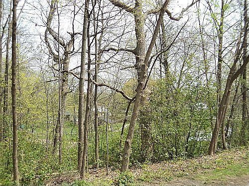 1st image of 13365 Kinsey Park Dr