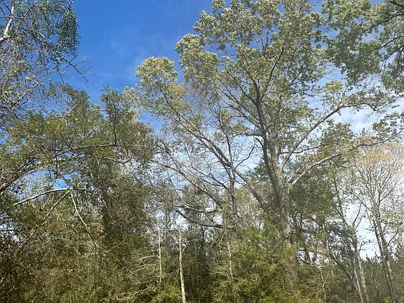 3rd image of Stamps Rd