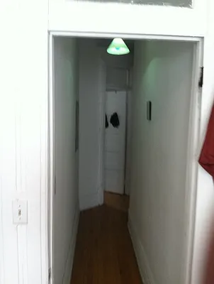 Rented by Rapid Realty Cobble Hill | media 32