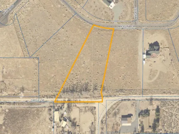 221 Angelina Cir, Smith Valley, NV 89444