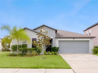 7419 Pearly Everlasting Ave, Tampa, FL, 33619