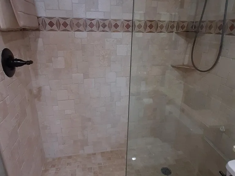 Guest Bathroom Shower