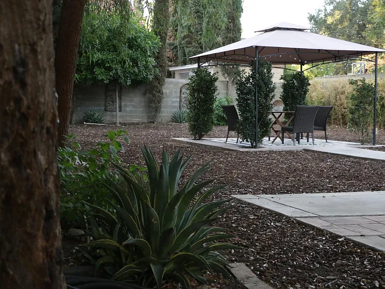 Backyard view from North patio