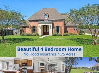 13711 Grace Ave, Walker, LA 70785