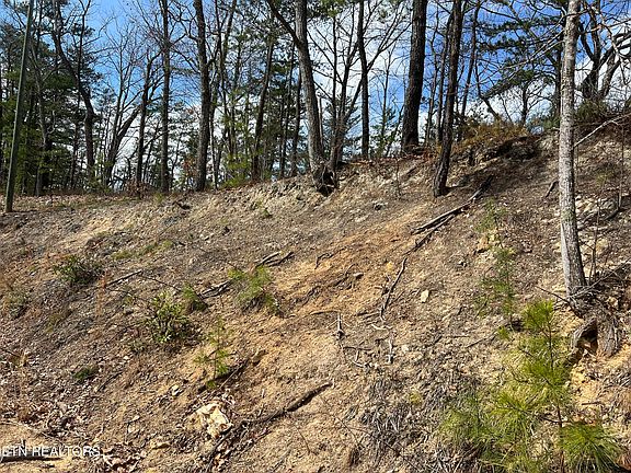 2nd image of Chestnut Ridge Ct