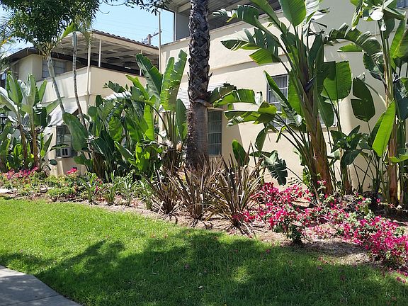 5th image of 241 S Olive Ave #241-22