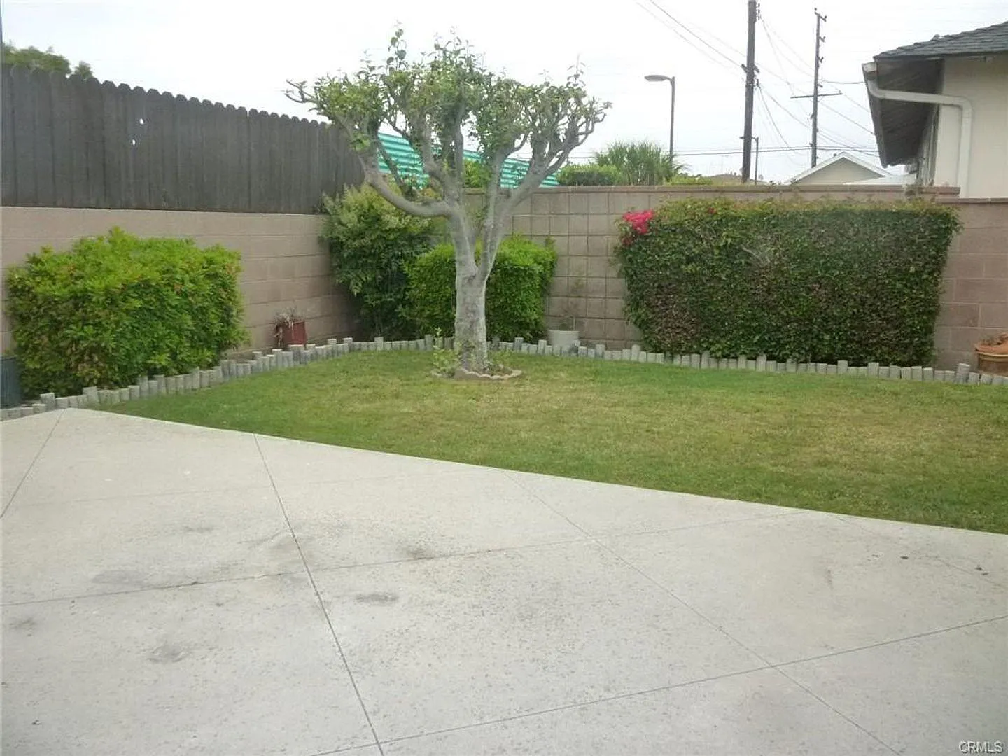 3 bed, 1323 sqft, $3,750 — Photo 3