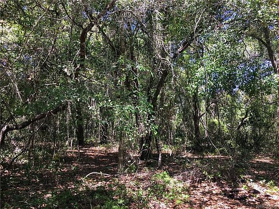 3rd image of 10001 E Gulf To Lake Hwy