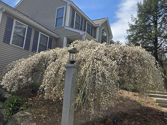 5th image of 136 Annand Drive