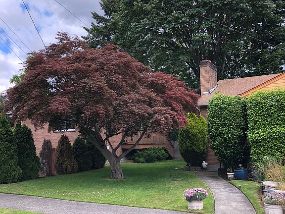 5th image of 7018 25th Ave NE