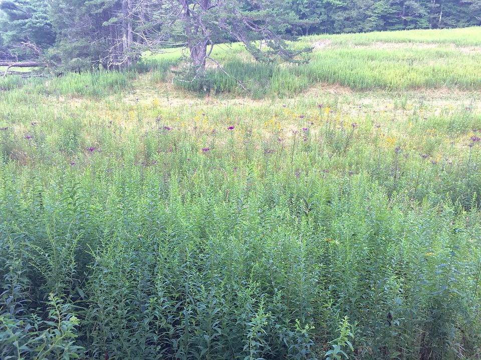 2nd image of Sweetgrass Development Lot 85