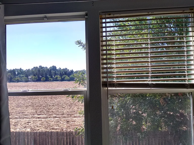 1238 Brightday Dr — Photo 13