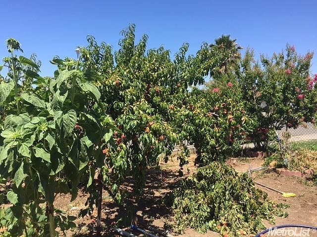 2nd image of 7820 Scottsdale Dr