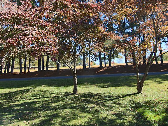 Golf course view from front