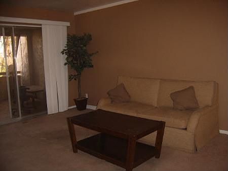 Living Room / Dining Room