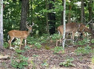 0 Catawba Cir #247, Ellijay, GA 30540