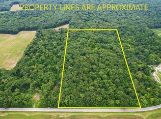 0 Ferrydale Rd, Odin, IL 62870