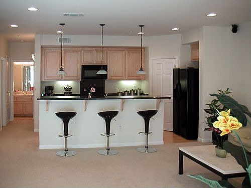Living/Kitchen Area