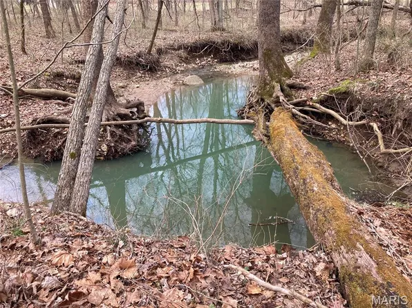 5015/ACRE S Pendleton Lost Creek Rd, Warrenton, MO 63383