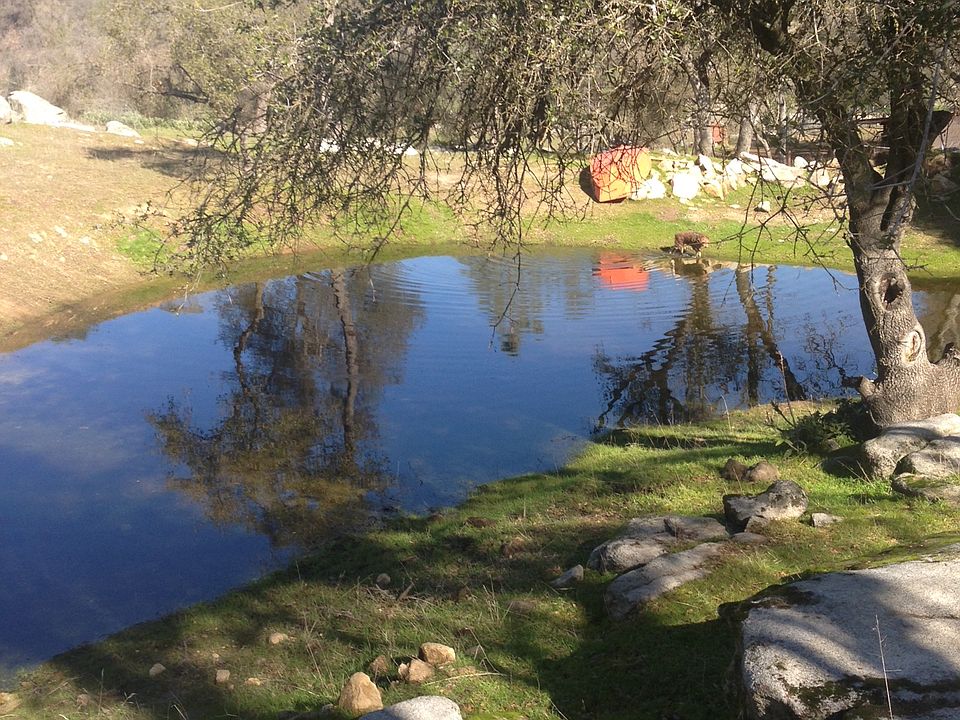 Seasonal pond