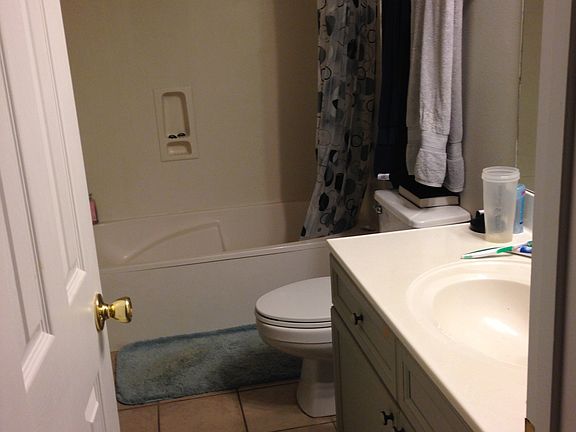 1st floor bathroom (hallway & den/bedroom access)