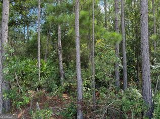 0 Foster Steadham Rd, Baxley, GA 31513