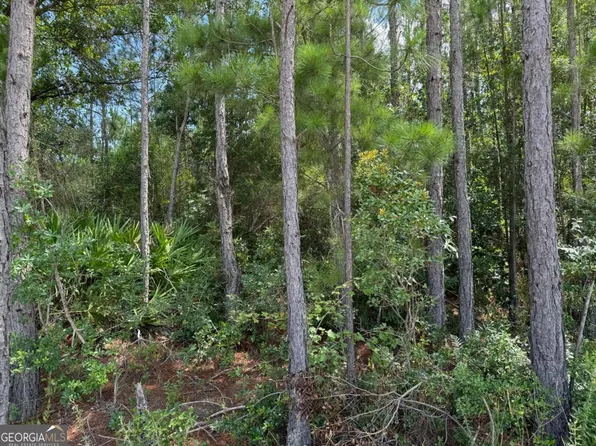 0 Foster Steadham Rd, Baxley, GA 31513