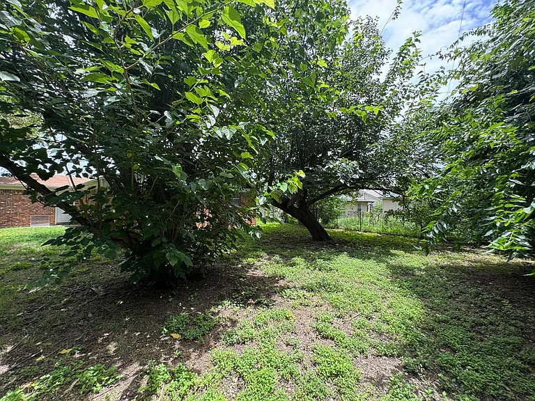 1409 Gardenia Ave — Photo 18