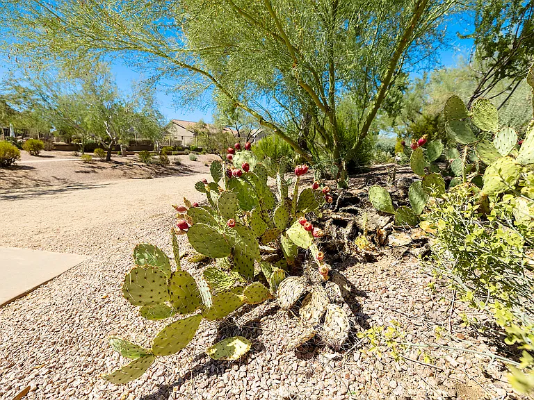 4704 E Weaver Rd — Photo 86