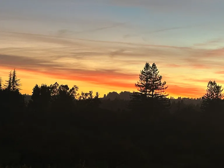 And yes, the Sonoma Sunsets