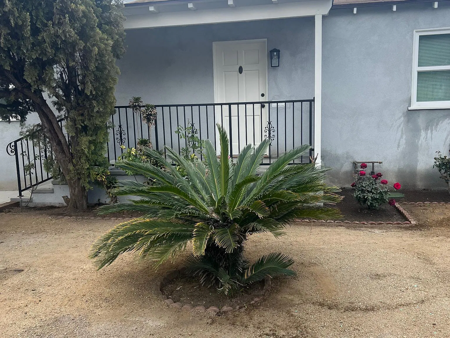 3 bed, 1000 sqft, $4,000 — Photo 1