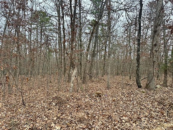 3rd image of 000 County Road 328