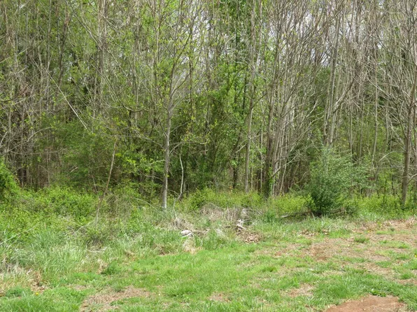 LOT 46 Soybean Dr, Appomattox, VA 24522