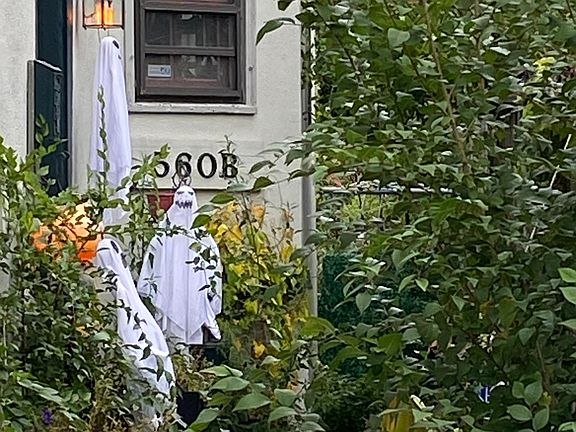 2nd image of 560 S 3rd St #B