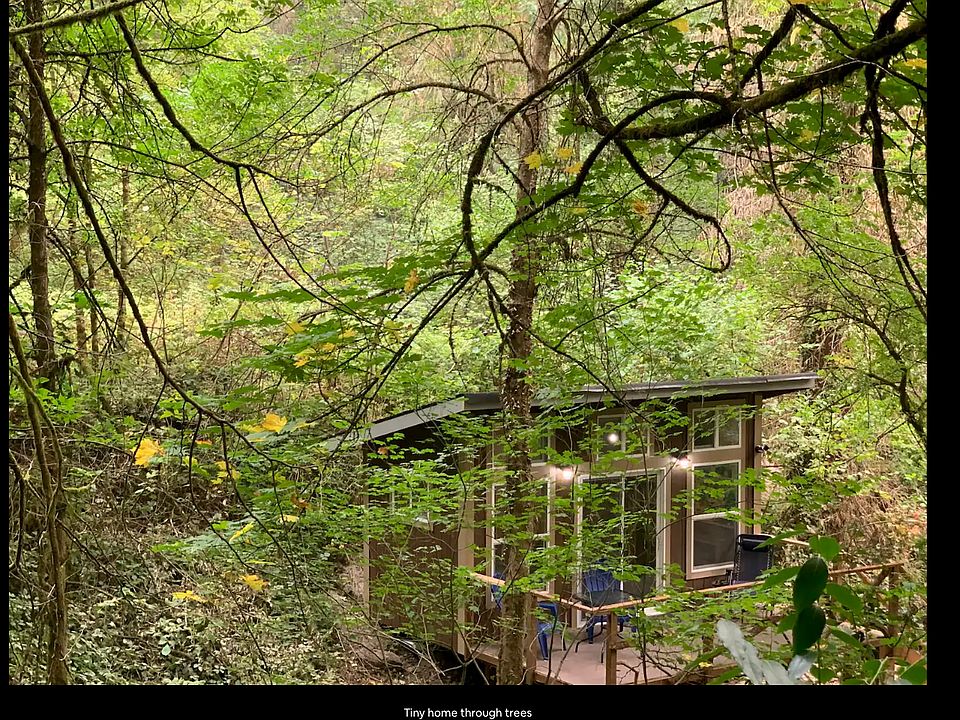 Sasquatch's Tiny Tree Home from on high
